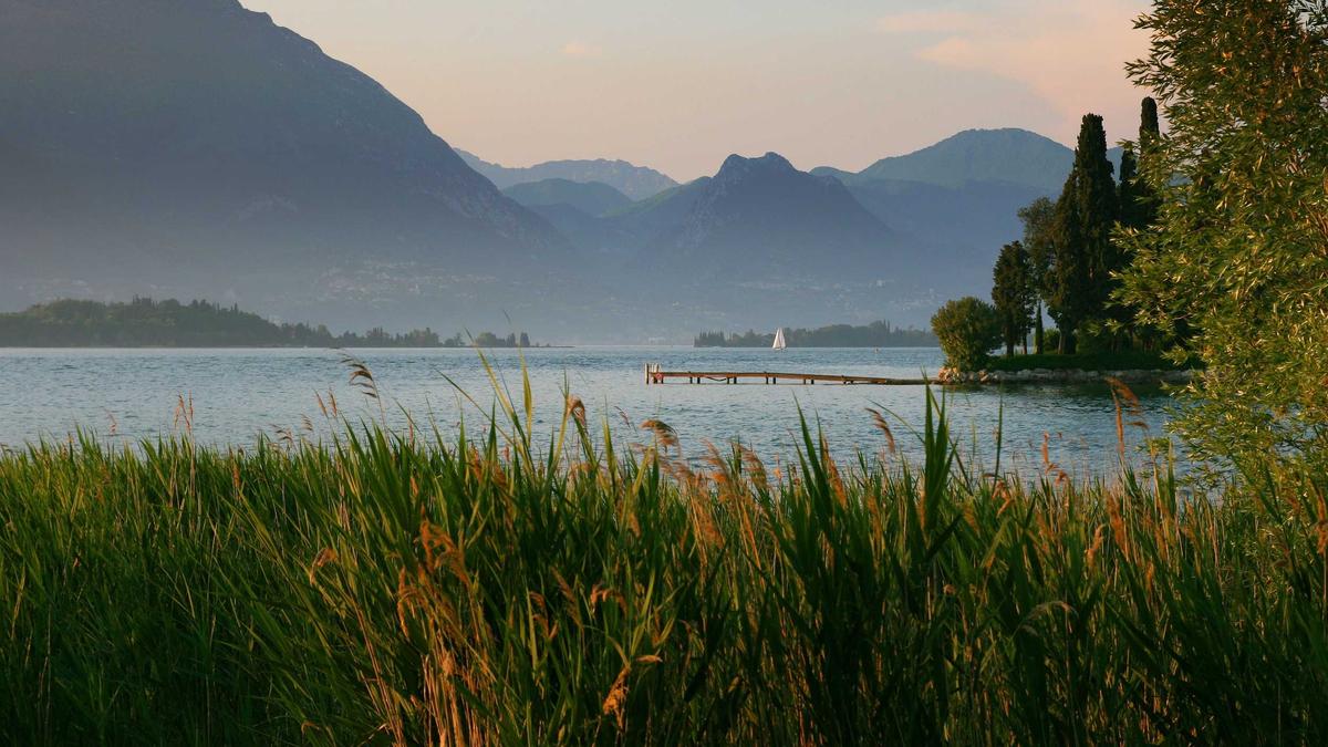 Featured image of post Digitale Bildung & Kognitive Entwicklung: Was Tech-Milliardäre ihren Kindern vorenthalten