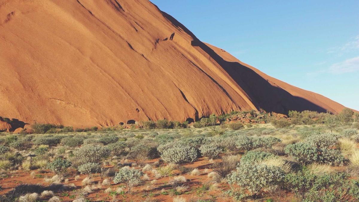 Mastodon Fediverse Ökosystem