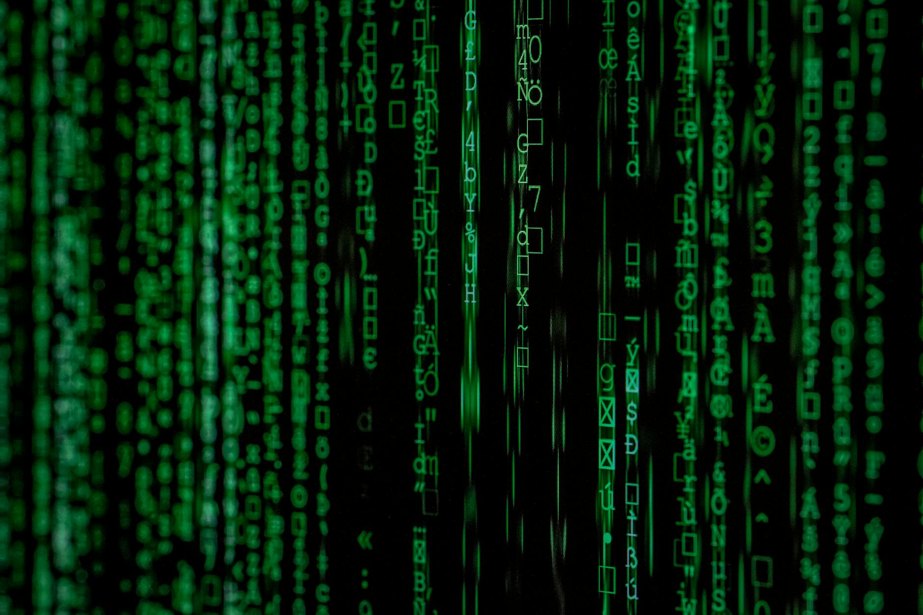 Stimmen die Memes über die Jobsuche im IT-Bereich? Die Wahrheit hinter den Klischees