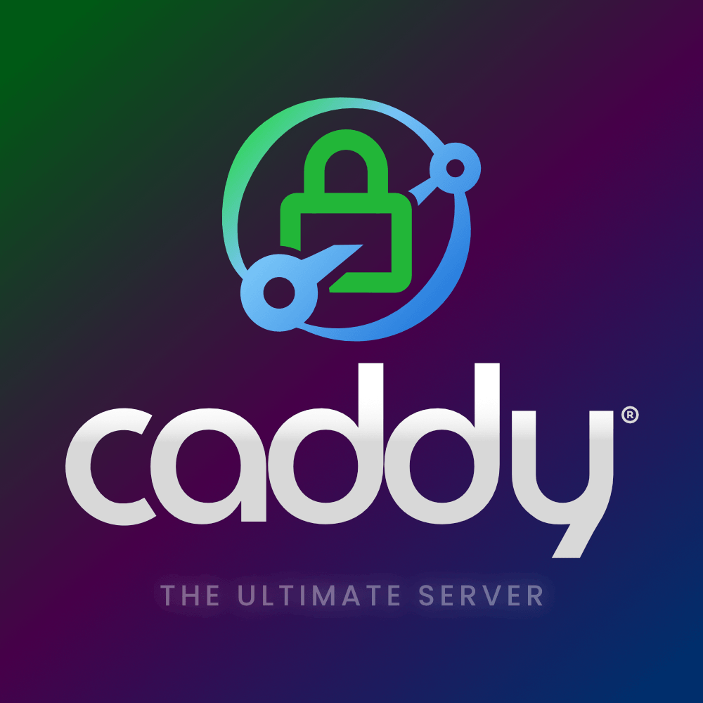 Caddy Reverse Proxy einrichten – Illustration 3